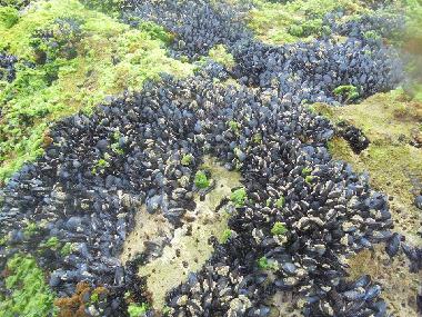 Casa de vacaciones en AGADIR (Agadir)Casa de vacaciones