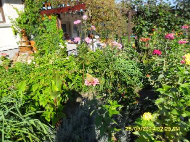 Casa de vacaciones en Blisnatsi (Varna)Casa de vacaciones