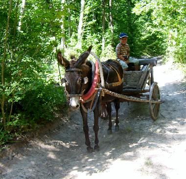 Casa de vacaciones en Blisnatsi (Varna)Casa de vacaciones