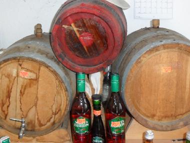 Casa de vacaciones en Blisnatsi (Varna)Casa de vacaciones