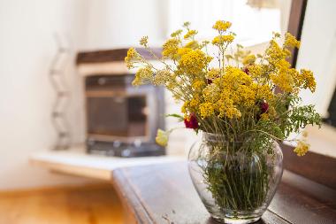 Villa en Pitve (Splitsko-Dalmatinska)Casa de vacaciones