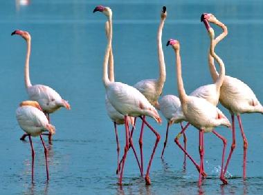 Apartamento de vacaciones en Olbia (Olbia-Tempio)Casa de vacaciones