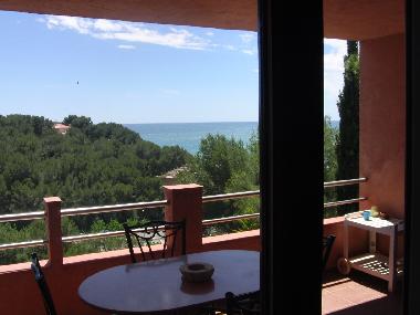 terasacocina maericana