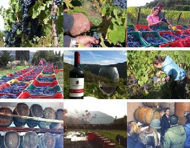 Casa de vacaciones en Londa (Firenze)Casa de vacaciones