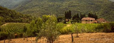 Casa de vacaciones en Londa (Firenze)Casa de vacaciones