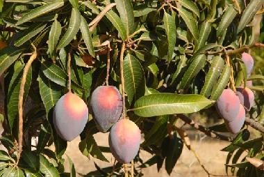 Casa de vacaciones en Vlez Mlaga (Mlaga)Casa de vacaciones