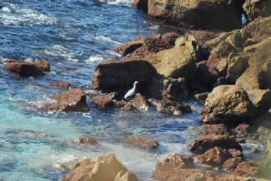Casa de vacaciones en Vlez Mlaga (Mlaga)Casa de vacaciones
