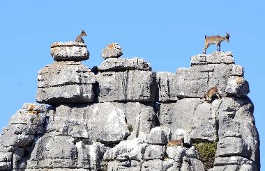 Casa de vacaciones en Vlez Mlaga (Mlaga)Casa de vacaciones