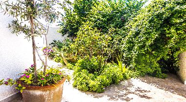 Apartamento de vacaciones en Mahdia (Al Mahdiyah)Casa de vacaciones