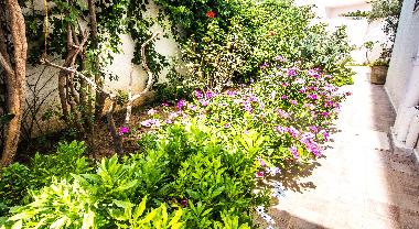 Apartamento de vacaciones en Mahdia (Al Mahdiyah)Casa de vacaciones