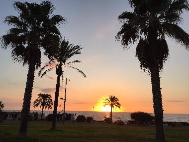 Paseando Por Mojacar Playa