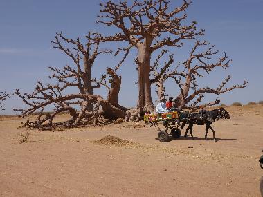 Villa en nianing (Thies)Casa de vacaciones
