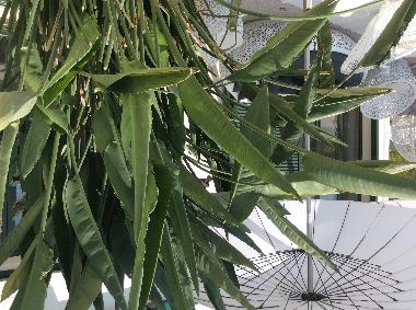 Villa en Solin (Splitsko-Dalmatinska)Casa de vacaciones