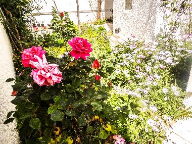 Apartamento de vacaciones en Tunis (Aryanah)Casa de vacaciones