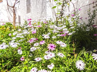 Apartamento de vacaciones en Tunis (Aryanah)Casa de vacaciones