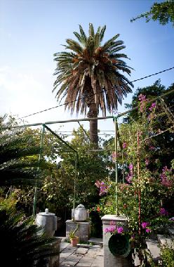 Apartamento de vacaciones en Dubrovnik (Dubrovacko-Neretvanska)Casa de vacaciones