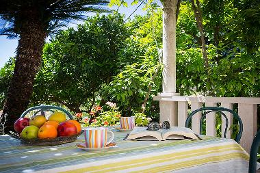 Apartamento de vacaciones en Dubrovnik (Dubrovacko-Neretvanska)Casa de vacaciones