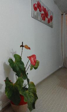 Casa de vacaciones en BASSE TERRE (Guadeloupe)Casa de vacaciones