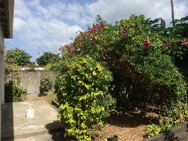 Casa de vacaciones en BASSE TERRE (Guadeloupe)Casa de vacaciones