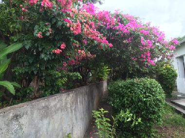 Casa de vacaciones en BASSE TERRE (Guadeloupe)Casa de vacaciones