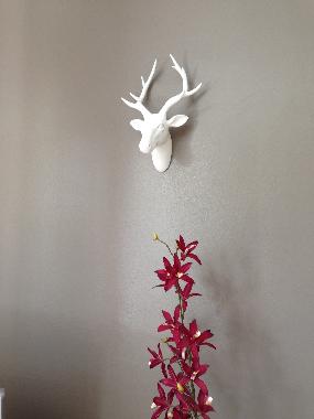 Casa de vacaciones en Lorient (Morbihan)Casa de vacaciones