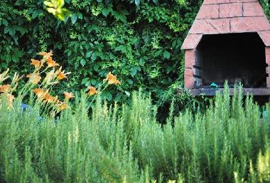Apartamento de vacaciones en Arbanija (Splitsko-Dalmatinska)Casa de vacaciones