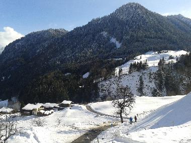 Apartamento de vacaciones en St. Gallenkirch (Bludenz-Bregenzer Wald)Casa de vacaciones