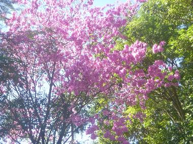 Casa de vacaciones en Villeta/Cumbarity (Central)Casa de vacaciones