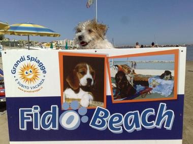 Villa en SAN MAURO MARE (Rimini)Casa de vacaciones