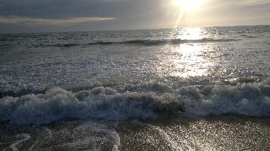 Apartamento de vacaciones en saint hilaire de riez  (Vende)Casa de vacaciones