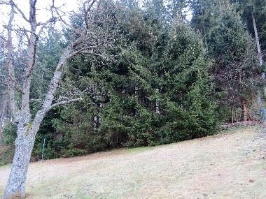 Casa de vacaciones en Ratten (stliche Obersteiermark)Casa de vacaciones