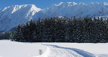 Casa de vacaciones en Bad Mitterndorf (Liezen)Casa de vacaciones