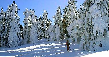 Casa de vacaciones en Bad Mitterndorf (Liezen)Casa de vacaciones