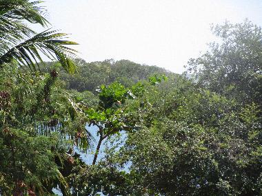 Casa de vacaciones en FORT DE FRANCE (Martinique)Casa de vacaciones