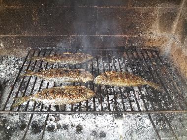 Apartamento de vacaciones en Povlja (Splitsko-Dalmatinska)Casa de vacaciones