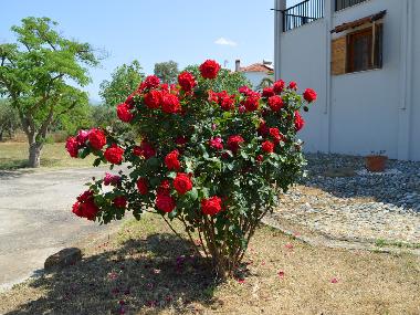 Apartamento de vacaciones en Kalives poligiru (Chalkidiki)Casa de vacaciones