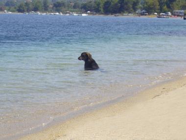 Casa de vacaciones en Psakoudia (Chalkidiki)Casa de vacaciones