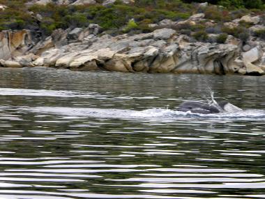 Casa de vacaciones en Psakoudia (Chalkidiki)Casa de vacaciones