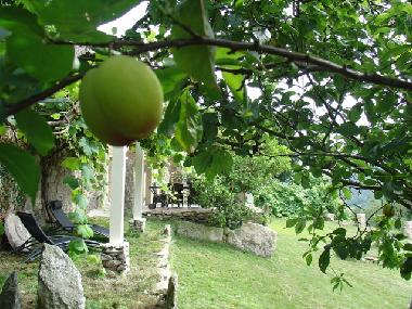 Casa de vacaciones en Outes (A Corua)Casa de vacaciones