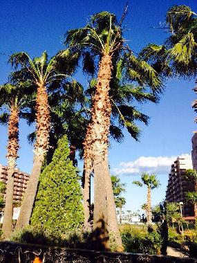 Apartamento de vacaciones en Oropesa del Mar (Castell�n / Castell�)Casa de vacaciones