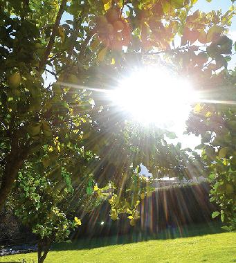 Casa de vacaciones en Lamadrid, Vald�liga (Cantabria)Casa de vacaciones