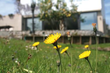 Casa de vacaciones en Lamadrid, Vald�liga (Cantabria)Casa de vacaciones