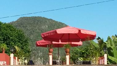 terraceview from the rooftop