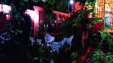 the garden by night