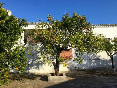 Casa de vacaciones en Malaga (Mlaga)Casa de vacaciones