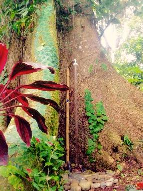 Apartamento de vacaciones en Talamaca (Limon)Casa de vacaciones