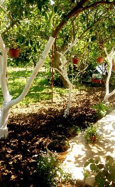 Apartamento de vacaciones en Tivat (Montenegro)Casa de vacaciones