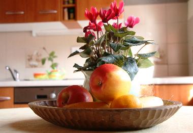 Apartamento de vacaciones en Tolmin (Tolmin)Casa de vacaciones