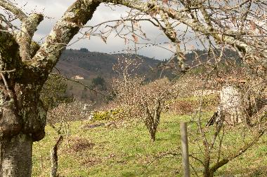 Casa de vacaciones en saint jean chambre (Ard�che)Casa de vacaciones