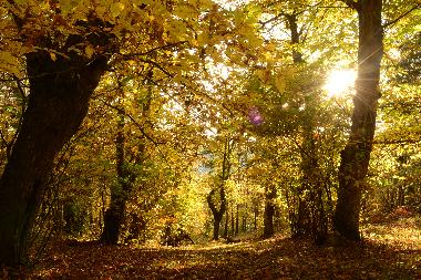 Casa de vacaciones en saint jean chambre (Ard�che)Casa de vacaciones